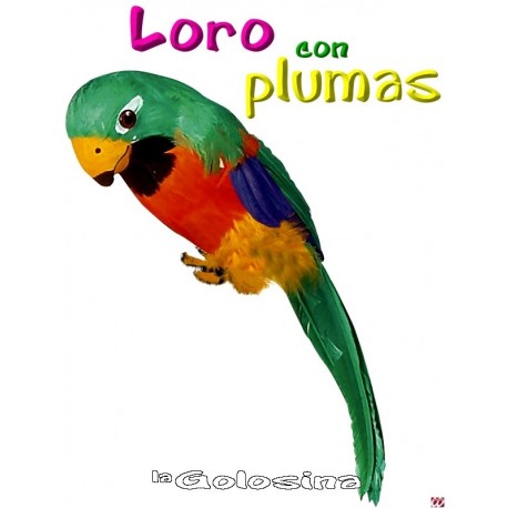 Loro con plumas.