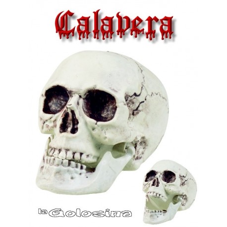 Calavera decoracion